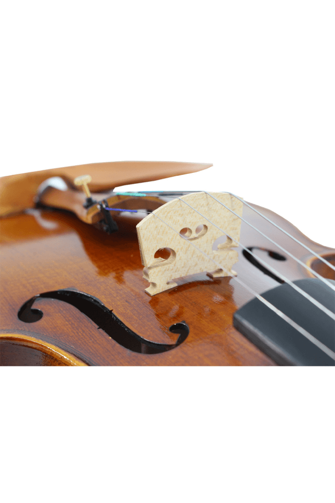 Advanced Matte Beginner Violin F7