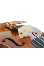 Load image into Gallery viewer, Advanced Matte Beginner Violin F7