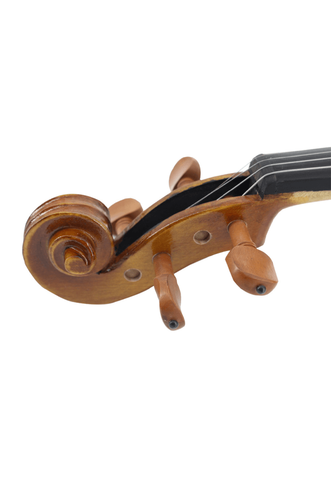 Advanced Matte Beginner Violin F7