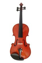 Load image into Gallery viewer, Best Selling Intermediate Violin F45 Any price increase series