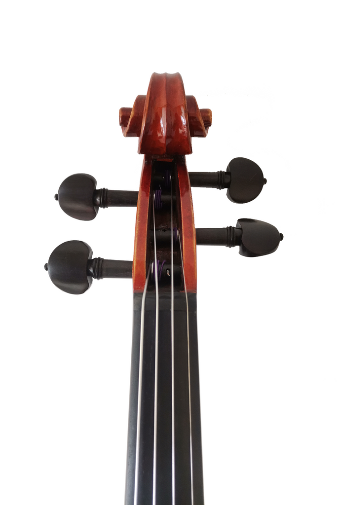 Best Selling Intermediate Violin F45 Any price increase series