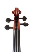 Load image into Gallery viewer, Best Selling Intermediate Violin F45 Any price increase series