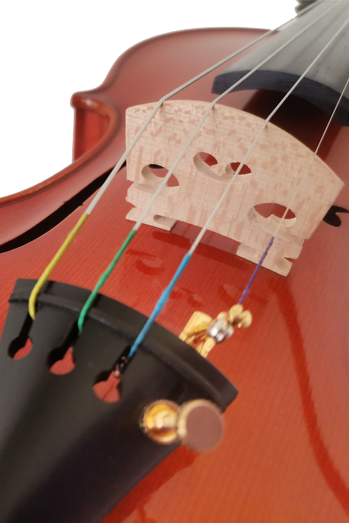 Best Selling Intermediate Violin F45 Any price increase series