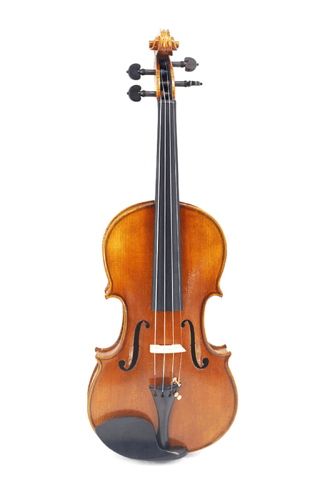 Fiddlover 4/4 Intermediate Violin F21