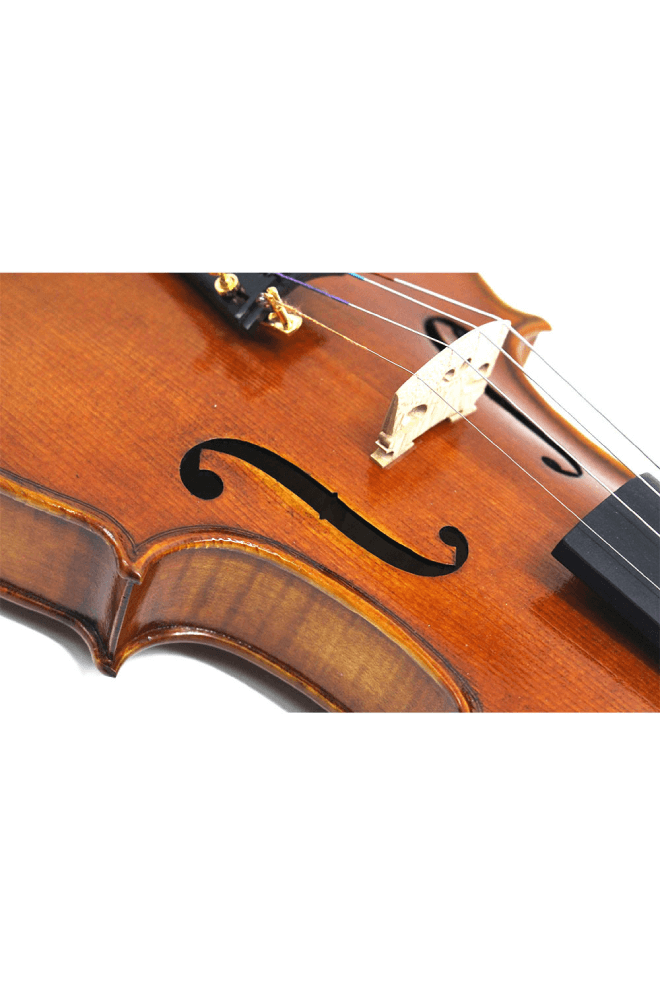 Fiddlover 4/4 Intermediate Violin F21