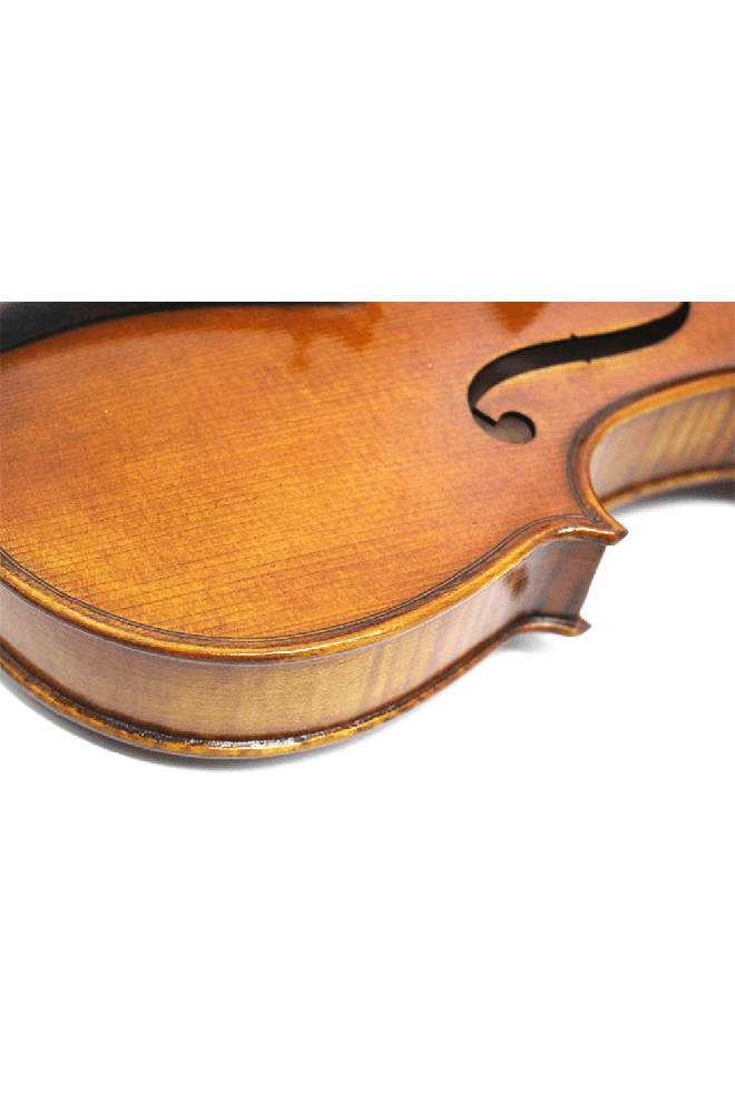 Fiddlover 4/4 Intermediate Violin F21