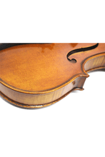 Load image into Gallery viewer, Fiddlover 4/4 Intermediate Violin F21