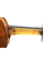 Load image into Gallery viewer, Fiddlover 4/4 Intermediate Violin F21