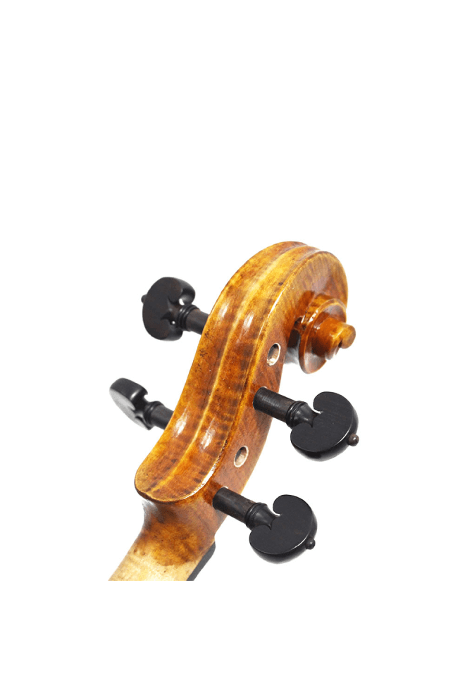 Fiddlover 4/4 Intermediate Violin F21