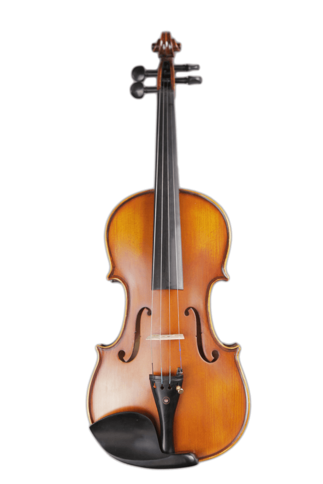 Large Pattern Violin 2-pieces F15