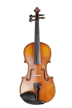 Load image into Gallery viewer, Large Pattern Violin 2-pieces F15