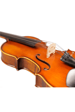 Load image into Gallery viewer, Large Pattern Violin 2-pieces F15