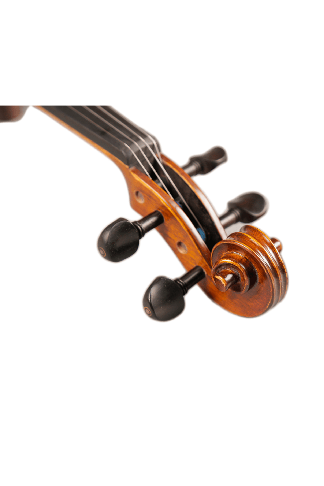 Large Pattern Violin 2-pieces F15