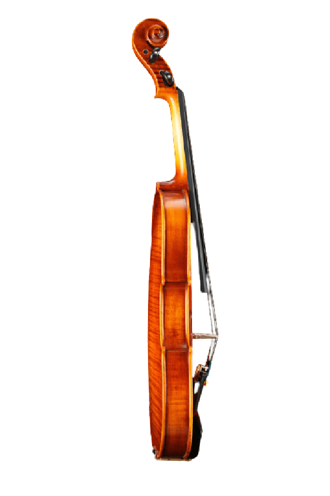 Matte Real Tiger Stripes Violin F16