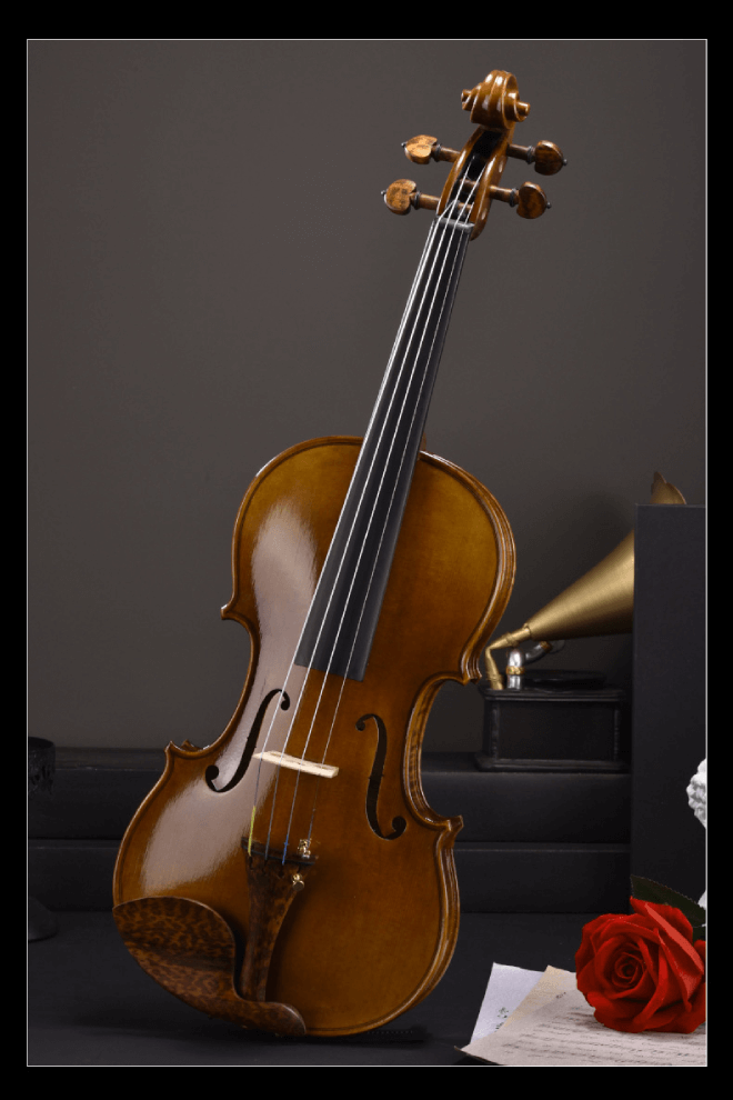 Intermediate Violin F31 Any price increase series