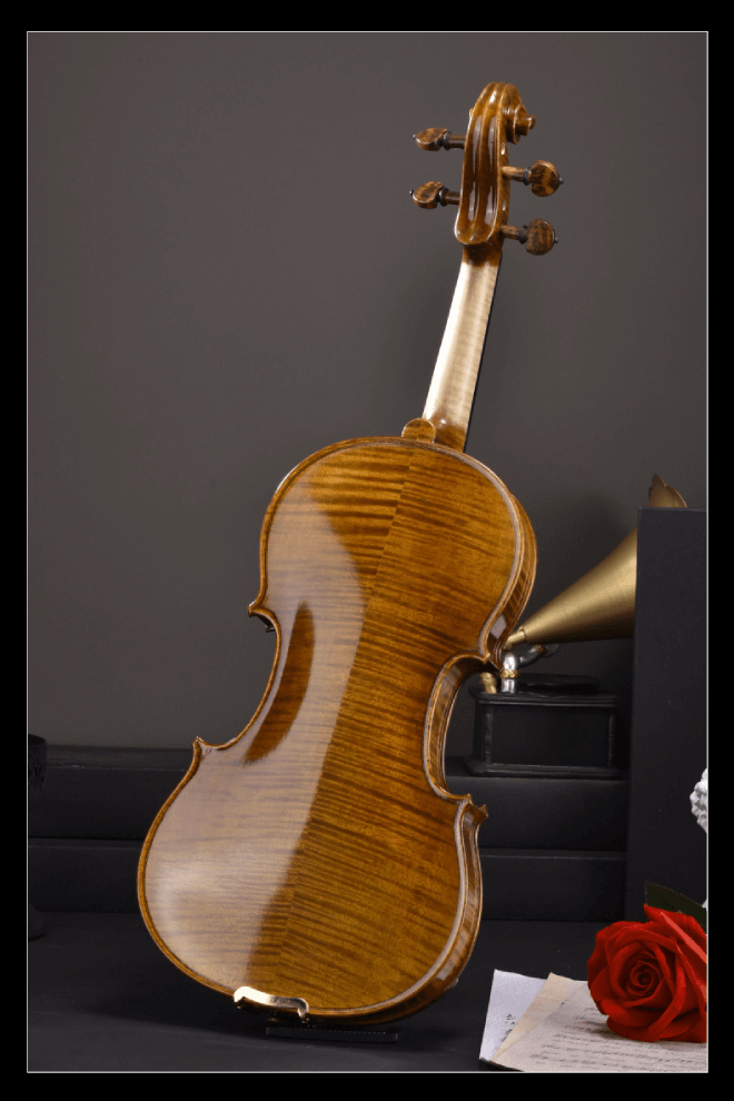 Intermediate Violin F31 Any price increase series