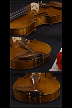 Load image into Gallery viewer, Intermediate Violin F31 Any price increase series