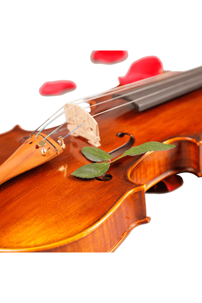 Fiddlover Violin Retro F18