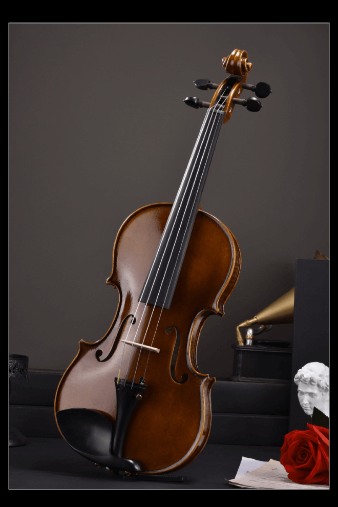 Classic Intermediate Violin F33 Any price increase series