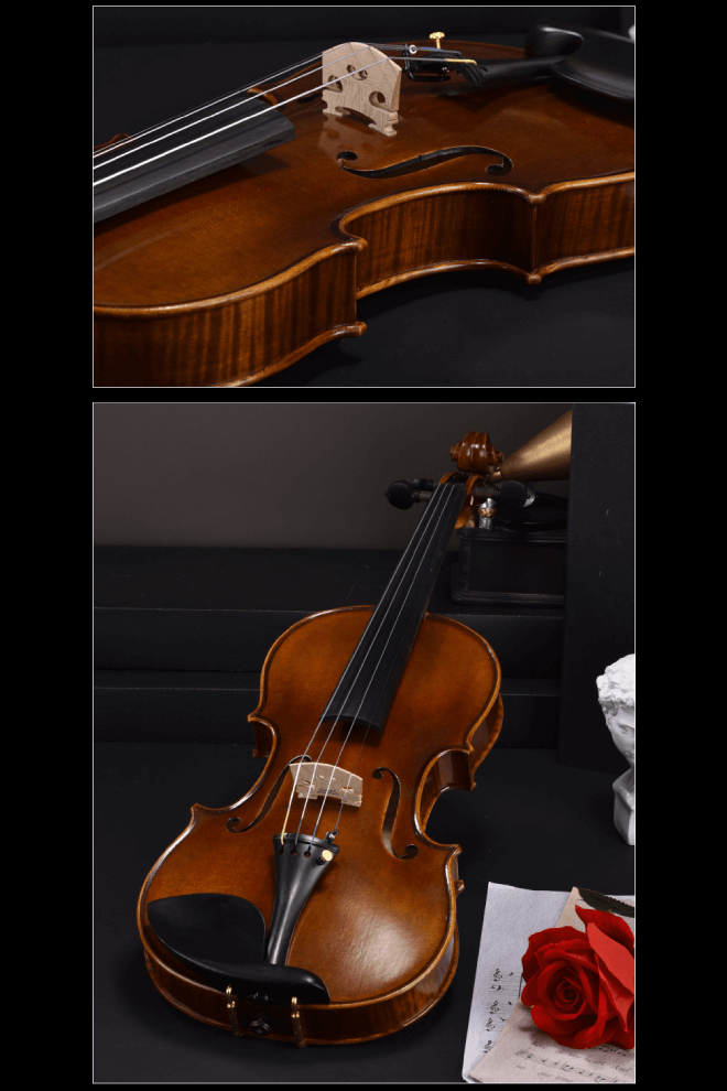 Classic Intermediate Violin F33 Any price increase series